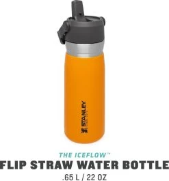 Stanley The IceFlow™ Flip Straw Water Bottle 0,65L - Thermosfles - Saffron 24 Stanley The IceFlow™ Flip Straw Water Bottle 0,65L - Thermosfles - Saffron -Keukenbenodigdheden Winkel 1120x1200 2