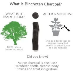 Black + Blum Binchotan Active Charcoal For Eau Good Water Bottles 4-pack -Keukenbenodigdheden Winkel 1200x1200 614