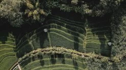 Sola Bestekset Bali - Modern - 9 Persoons - 90 Delig - Zilverwit Edelstaal 18/10 - RVS - Zilver -Keukenbenodigdheden Winkel 1200x675 11