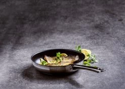 BK Allround Koekenpan Ø 24 Cm - Inductie - PFAS-vrij -Keukenbenodigdheden Winkel 1200x851