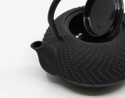 Bredemeijer - Theepot Fujian 1.2L Met Filter -Keukenbenodigdheden Winkel 1200x945 4