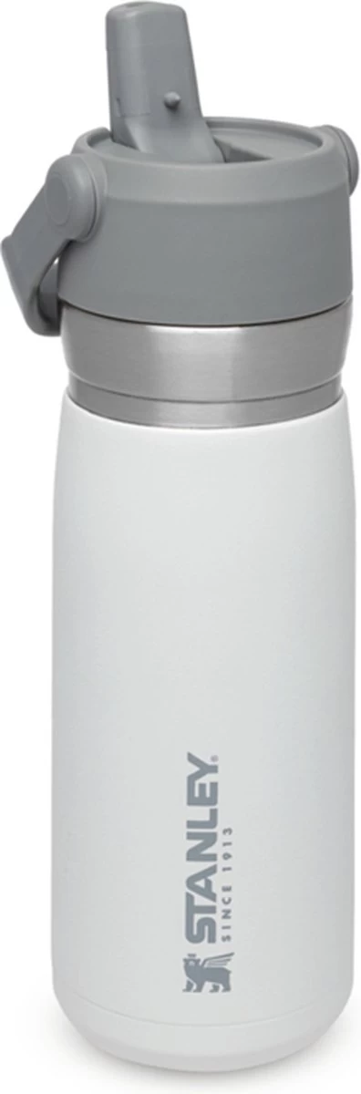 Stanley The IceFlow™ Flip Straw Water Bottle 0,65L - Thermosfles - Saffron 16 Stanley The IceFlow™ Flip Straw Water Bottle 0,65L - Thermosfles - Saffron - Afbeelding 16
